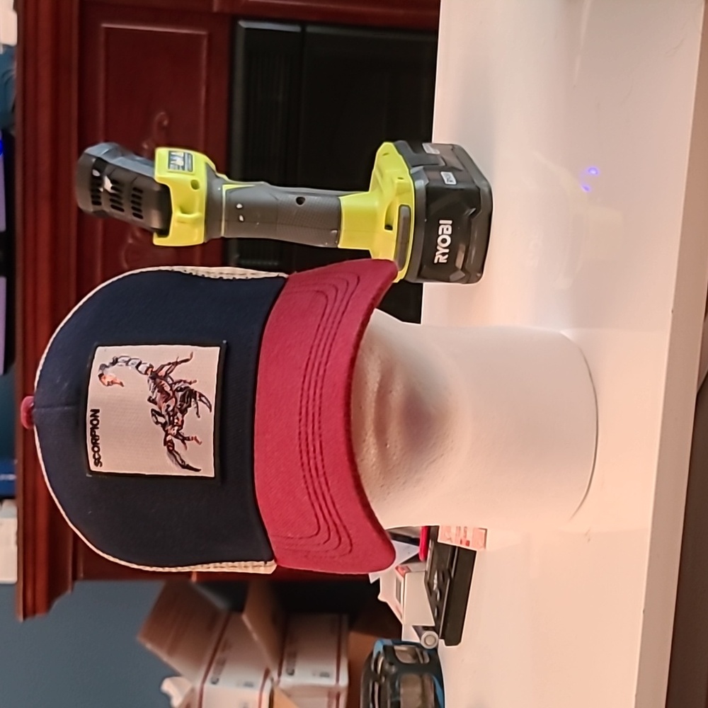 Animal Hat ( scorpion)